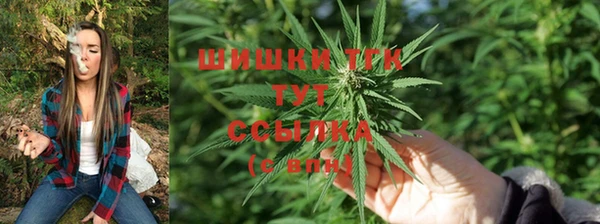 стафф Кулебаки